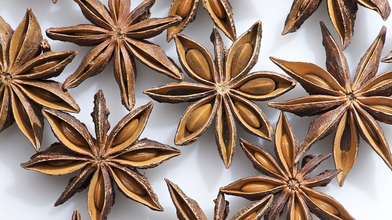 Quả hồi Illicium verum