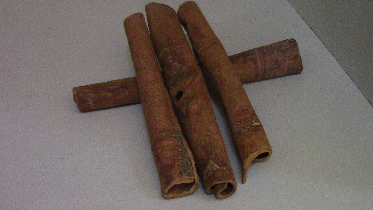 Vỏ quế Cinnamomum cassia