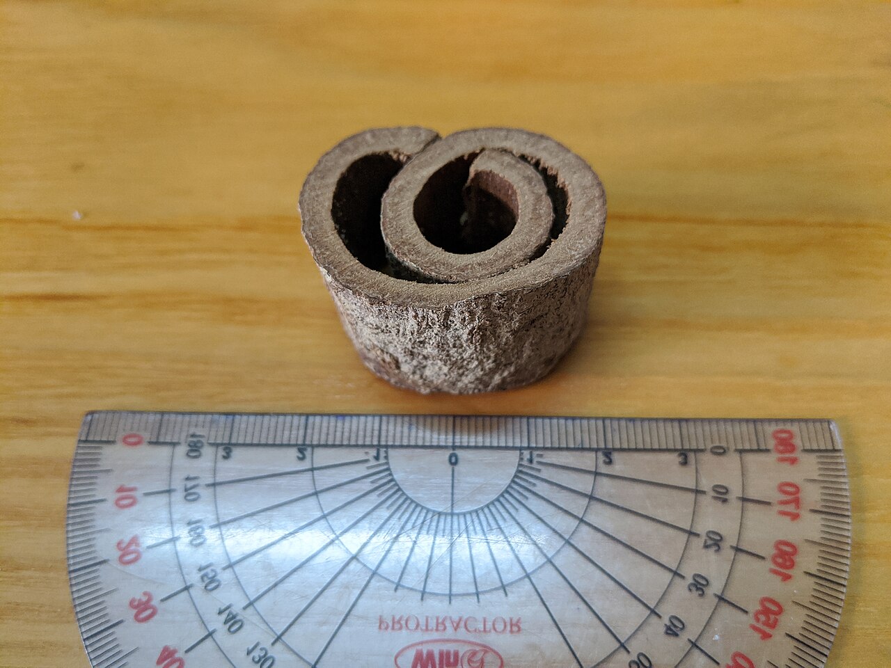 Vỏ cây quế ở Việt Nam