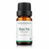 Tinh dầu bạc hà á nguyên chất chai 10 ml – Thảo Dược Xanh