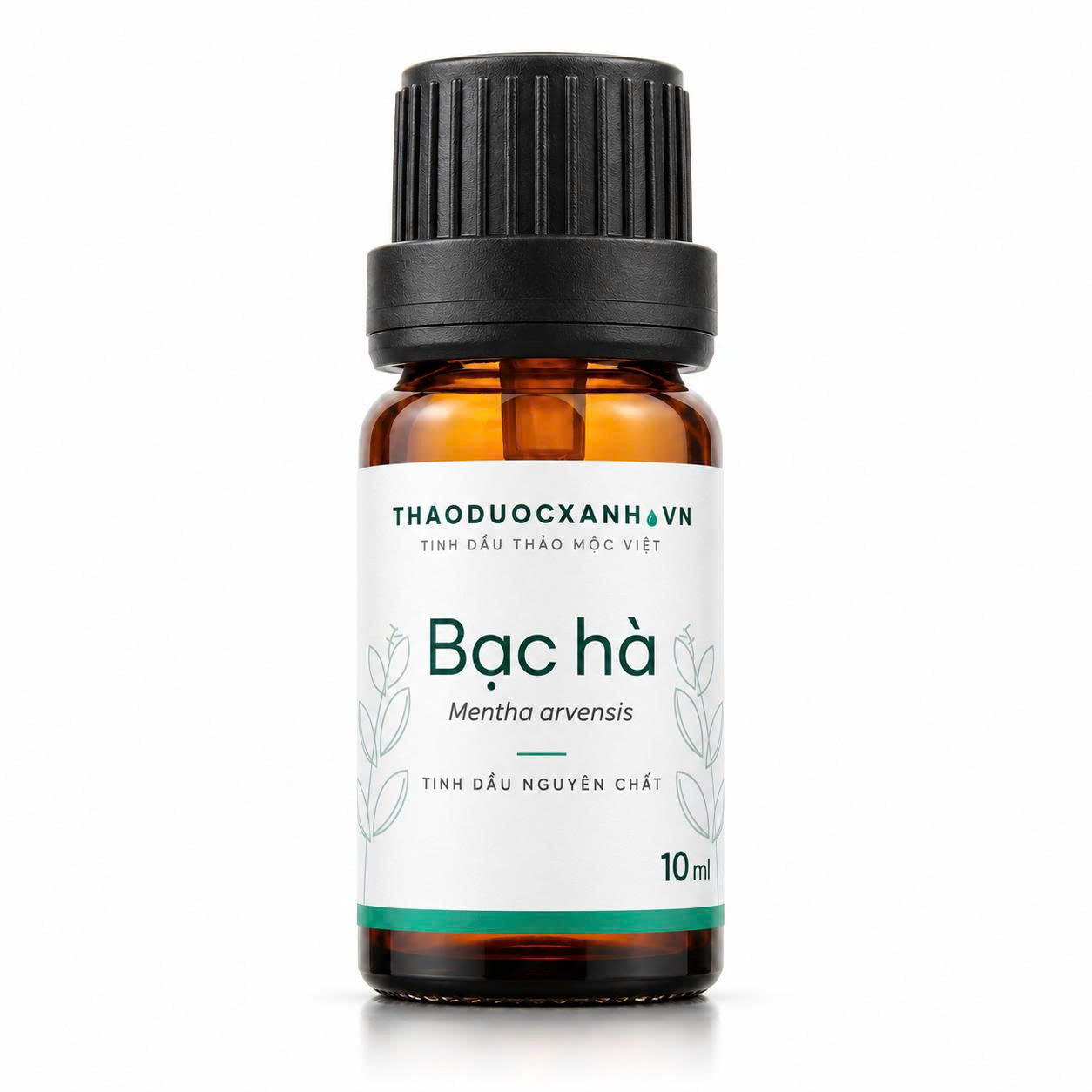 Tinh dầu bạc hà á nguyên chất chai 10 ml – Thảo Dược Xanh