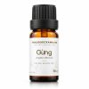 Tinh dầu gừng nguyên chất chai 10 ml – Thảo Dược Xanh