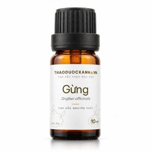 Tinh dầu gừng nguyên chất chai 10 ml – Thảo Dược Xanh