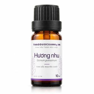 Tinh dầu hương nhu trắng