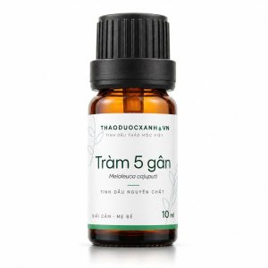Tinh dầu tràm 5 gân